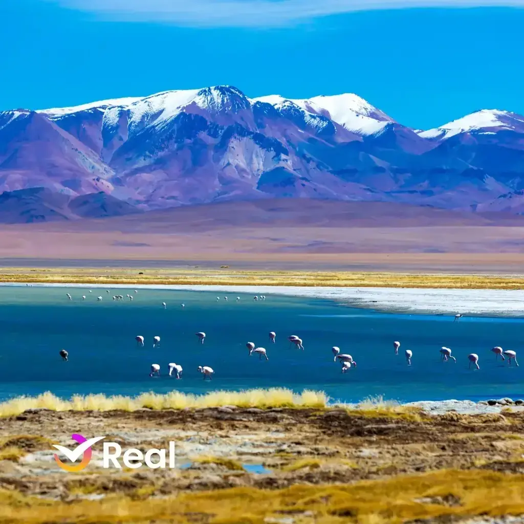 imagem capa do post  Viagem de Carro no Atacama: Roteiro Completo para RoadTrip!