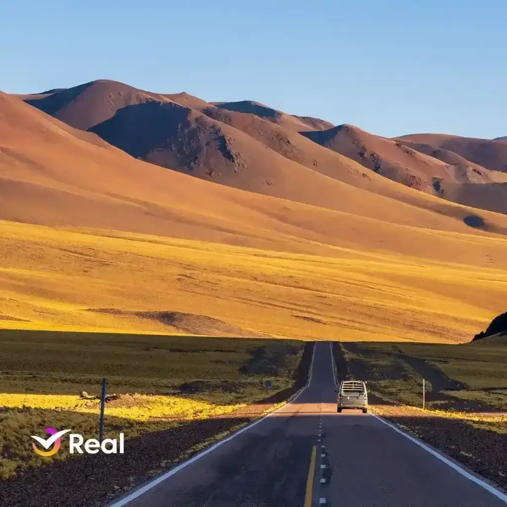 imagem capa do post SOAPEX Chile: o que é, quanto custa e onde comprar!